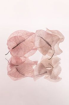 Zerbrechliches und unbeständiges Stillleben: Unser letztes Mal zusammen