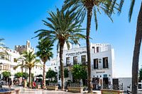 White village Vejer de la frontera market