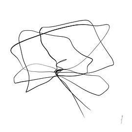 Poppy one-line drawing in series part 2