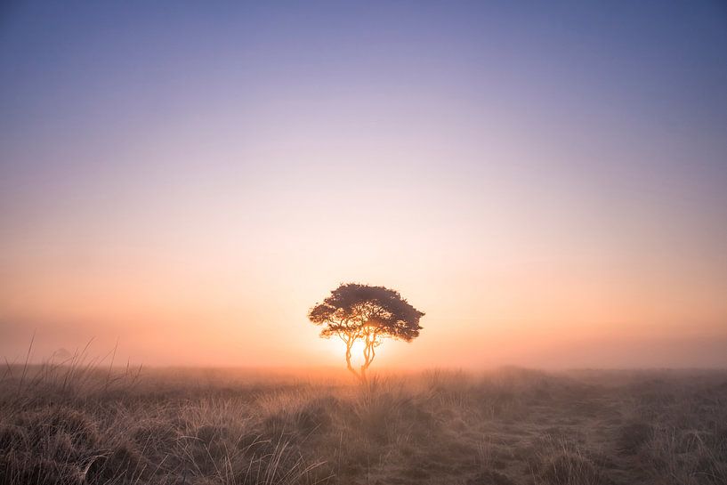 The lonely... by Niels Barto