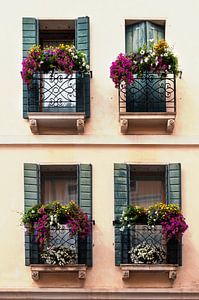 Quatre fenêtres avec volets et bacs à fleurs dans une façade méditerranéenne