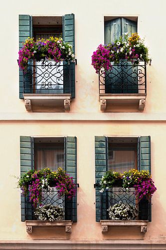 Four windows with shutters and flower boxes in a Mediterranean façade