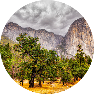 Yosemite National Park Californië Vallei en el Capitain Landschap van Dieter Walther