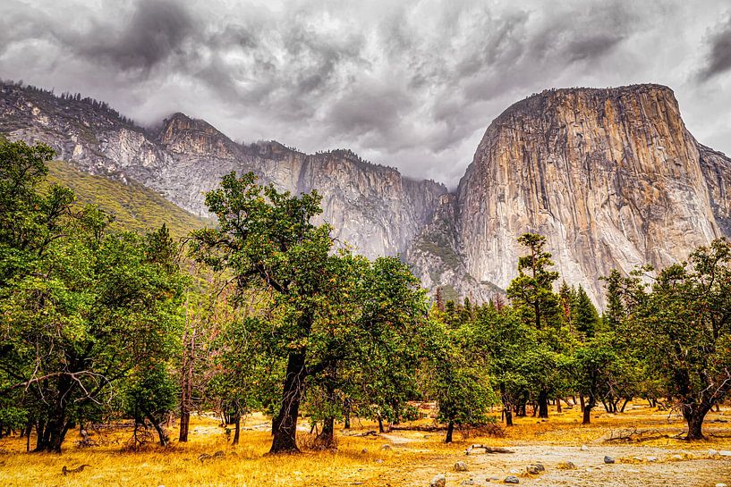 Yosemite National Park Californië Vallei en el Capitain Landschap van Dieter Walther