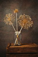 still life dried ornamental onion with brown tones.