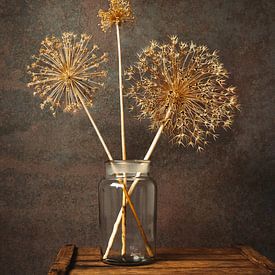 still life dried ornamental onion with brown tones. by Janny Beimers