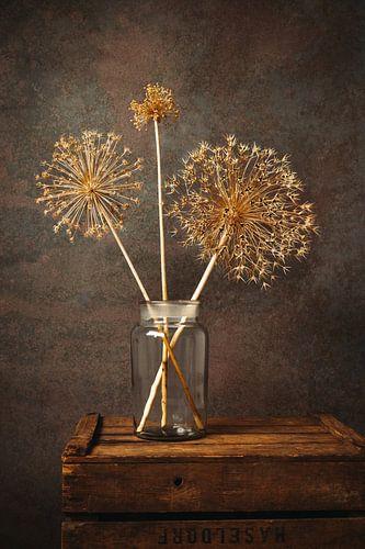 Nature morte d'un oignon ornemental séché avec des tons bruns.