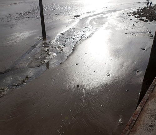 Eb & Vloed op het wad-Schiermonikkoog