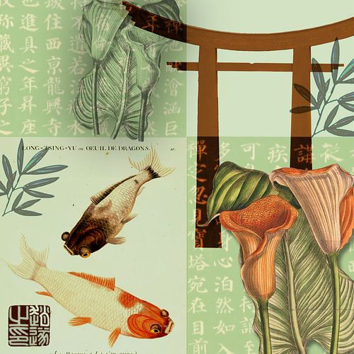 Japanse tuin