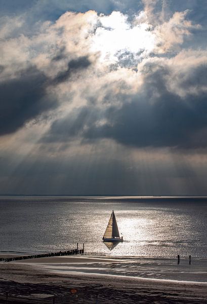 St James's ladder by Lisette van Peenen