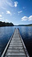 Holzsteg des Mapourika-Sees in Neuseeland