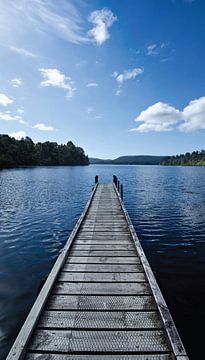 Houten steiger van Lake Mapourika in Nieuw Zeeland van Ricardo Bouman