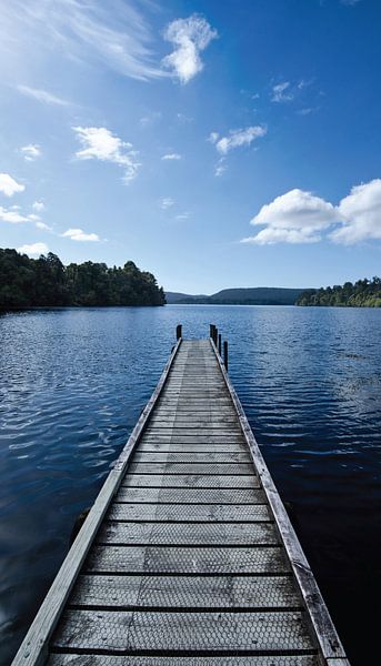 Holzsteg des Mapourika-Sees in Neuseeland von Ricardo Bouman Fotografie