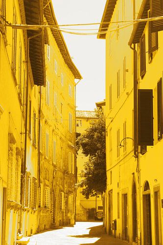 Gouden Lucca Italië