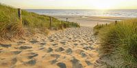 Sand, Meer und Sonne an der Küste von Katwijk von Dirk van Egmond Miniaturansicht