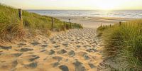 Sand, sea and sun on the Katwijk coast
