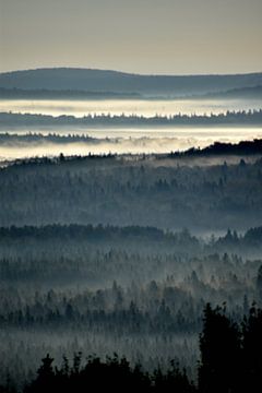 Fog on an autumn morning by Claude Laprise