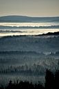 Fog on an autumn morning by Claude Laprise thumbnail