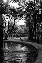 Place Des Lices Saint-Tropez by Tom Vandenhende thumbnail