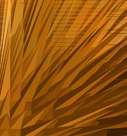 Echinoderms by Kay Weber