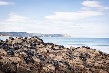 Die Küste der Bretagne von Marjan Schmit Visser