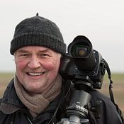 Ingo Gerlach Emotionale Momente photo de profil