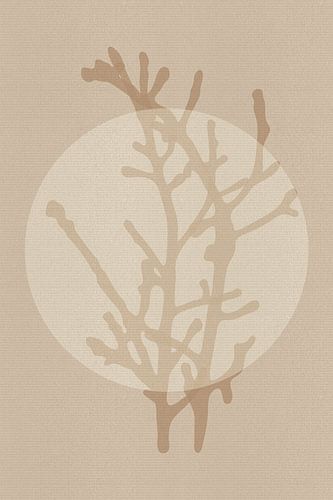 Japandi. Op zen geïnspireerde botanische kunst in beige.