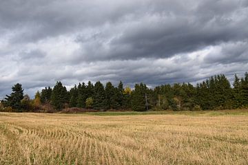 Un champ l'automne après les récoltes sur Claude Laprise
