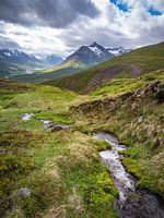 Vallée verte
