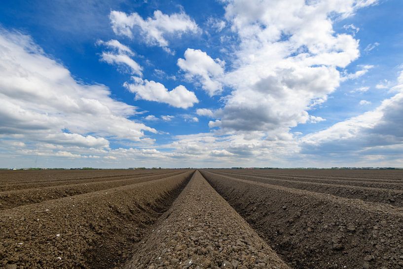 Freshly plowed potato field with straight line pattern and diminishing perspective in Flevoland duri by Sjoerd van der Wal Photography