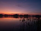 Sonnenuntergang am Paterswoldse Meer von Patricia Holthof Miniaturansicht