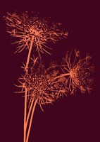 Orange branches | Illustration | Botanical | Red | Print
