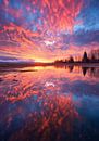 zonsondergang in de polder 10 van DNH Expressions thumbnail