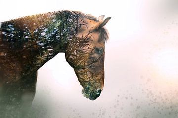 Kiefer Pferd Farbe von Kim van Beveren