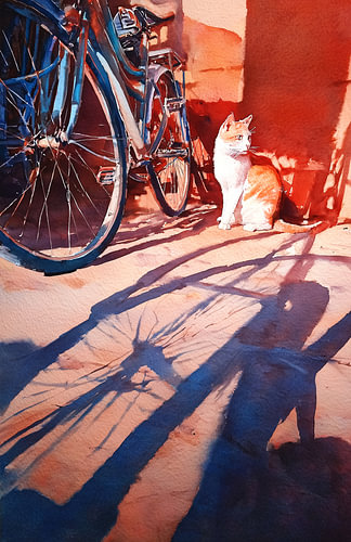 A curious cat in the street