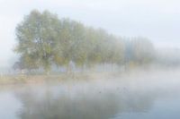 Belgique - Courtrai - la Lys
