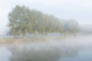 Belgie - Kortrijk - De Leie