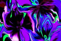 Violet / Violet / Violet
