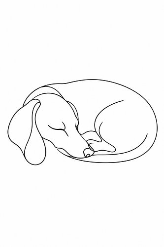 A love of dachshunds in a flowing line