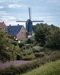 Heemtuin avec le moulin, les plantes et les arbres à Heusden sur Zwoele Plaatjes