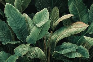 Bananenblätter Tropical Depth in Dunkelgrün Komposition