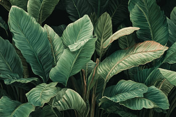 Bananenblätter Tropical Depth in Dunkelgrün Komposition