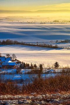 Winter WF van Tim Lee Williams