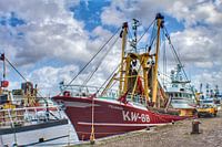 Vissersboot de Pelikaan IJmuiden