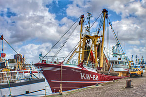 Vissersboot de Pelikaan IJmuiden