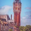 Stadhuis van Calais van rosstek ®