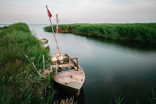 Fischerboot im Schilf