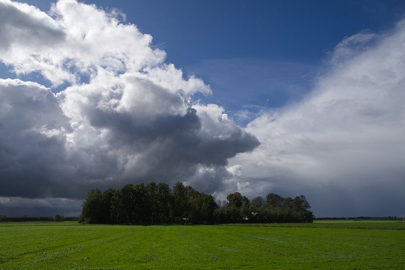 Polderlandschap van Hans Lok