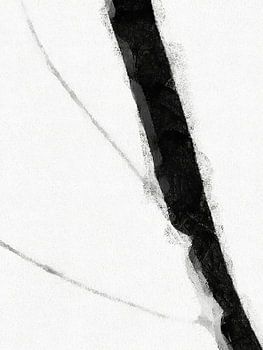 Minimal Monochrom D1