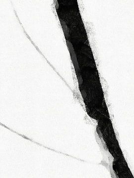 Minimalistisch zwart-wit D1 van Menega Sabidussi